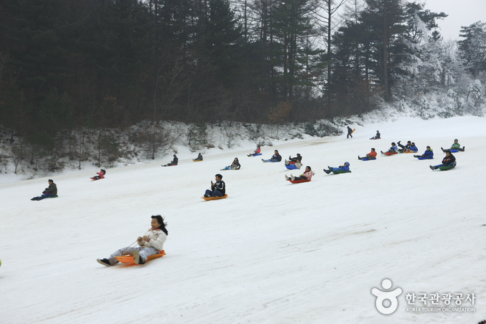 Pista para Trineos de Hanhwa Resort en Yangpyeong (양평한화리조트 눈썰매장)