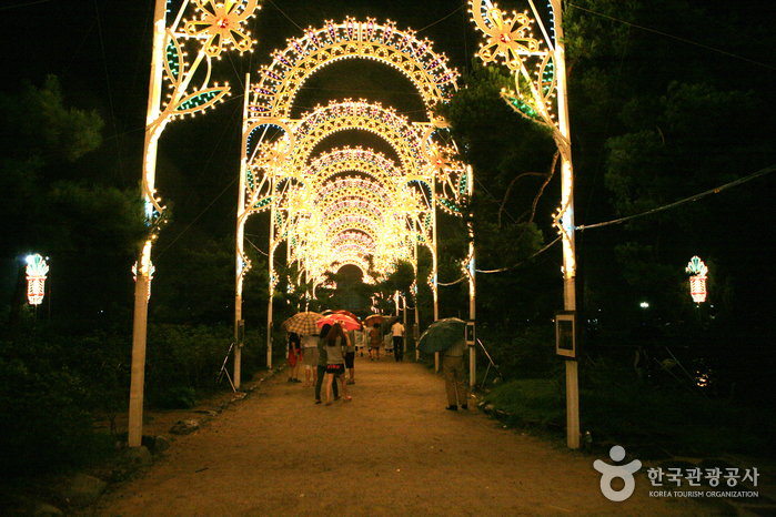 Buyeo Seodong Lotus Festival (부여서동연꽃축제)