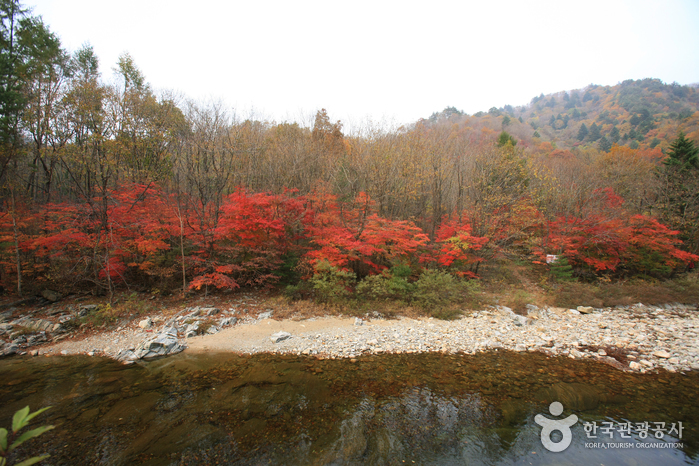 Odaesan National Park (오대산국립공원)