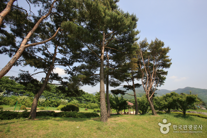 Pyeongsari-Park (평사리공원)