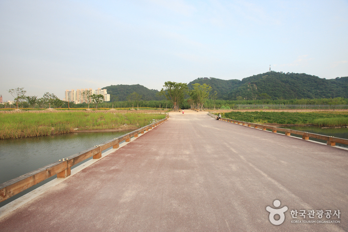 Taehwagang Grand Park (태화강 대공원)