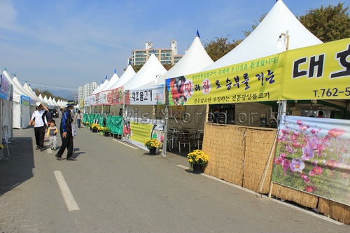 화적 이미지