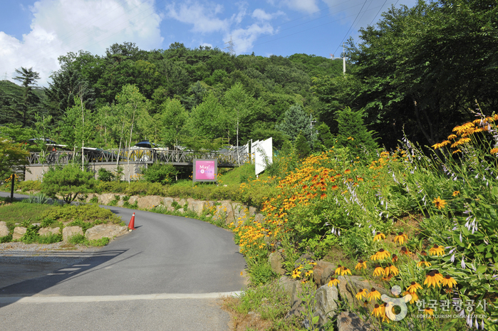 La forêt Cheongpyeong (청평자연휴양림)0