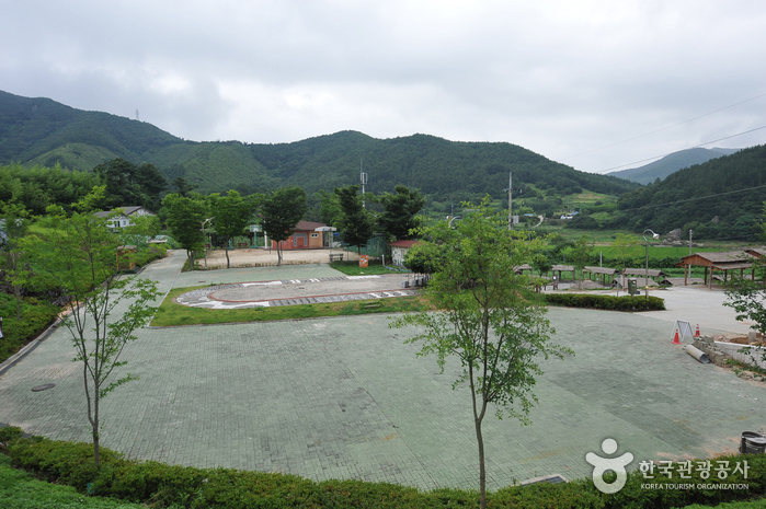 Jardín Regional Gujeolcho de Jeongeup (정읍 구절초 지방정원)