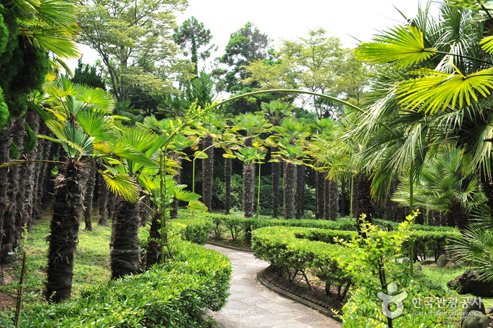 Hallim Park (한림공원)