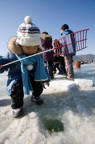 Inje Icefish Festival (인제빙어축제)