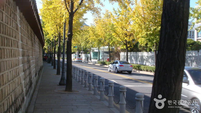 The Street in front of Cheongwadae (The Blue House) (청와대 앞길)