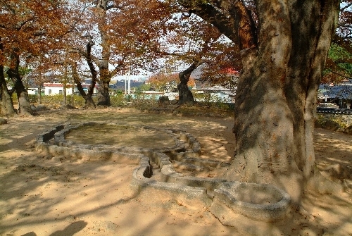 Gyeongju Poseokjeong Pavilion Site (경주 포석정지)5