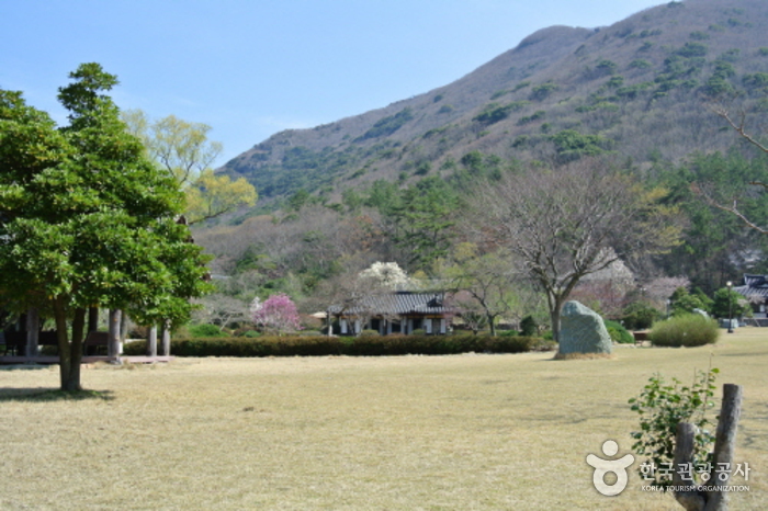 진도 운림산방 사진5