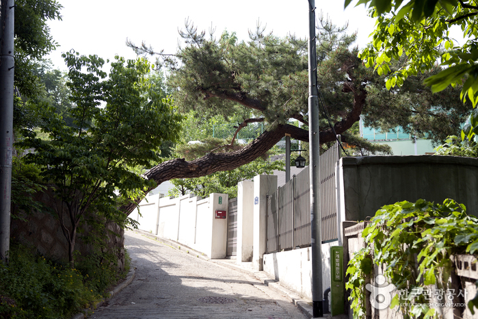 나무를 배려하는 주인장의 마음이 느껴진다.