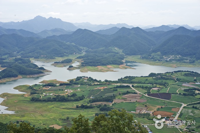 제천관광(주) 이미지