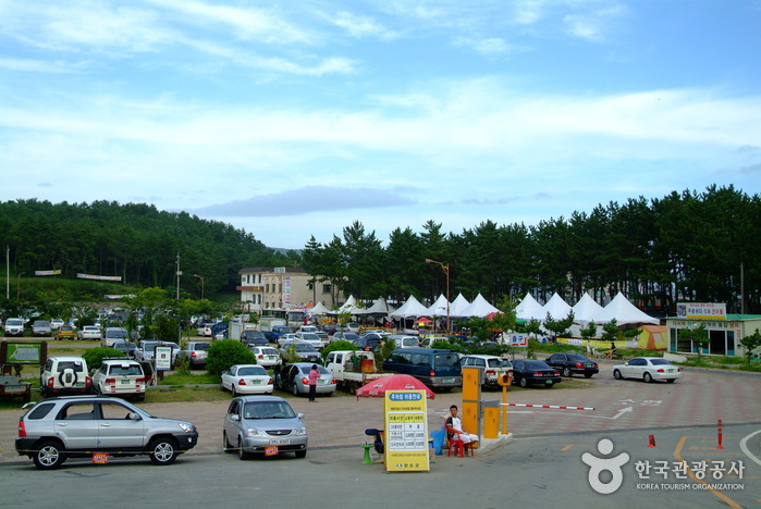 Sinji Myeongsasimni Beach (신지 명사십리해수욕장)