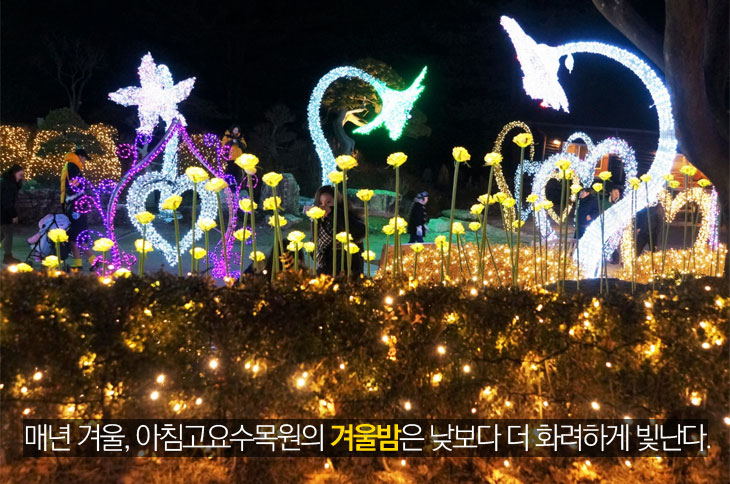 매년 겨울, 아침고요수목원의 겨울밤은 낮보다 더 화려하게 빛난다.