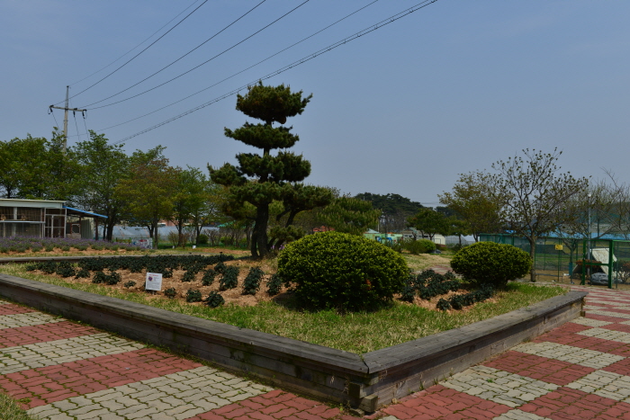 扶安猴子学校自然史博物馆(부안 원숭이학교 자연사박물관 )8