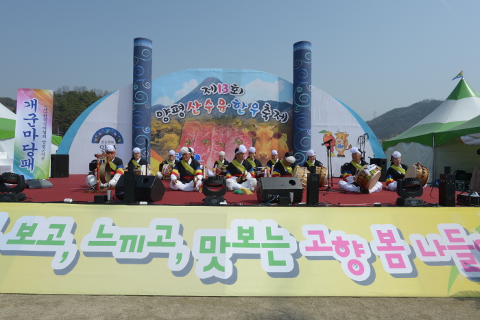 Festival de las Flores de Sansuyu y la Vaca Hanu de Yangpyeong (양평 산수유한우축제)