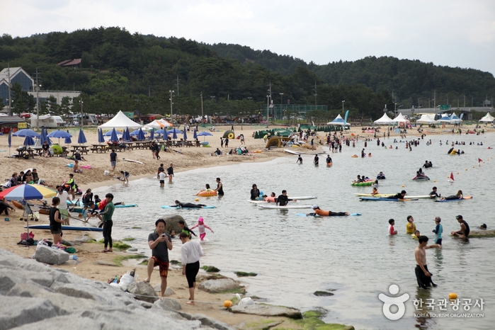 서퍼들로 붐비는 죽도해수욕장