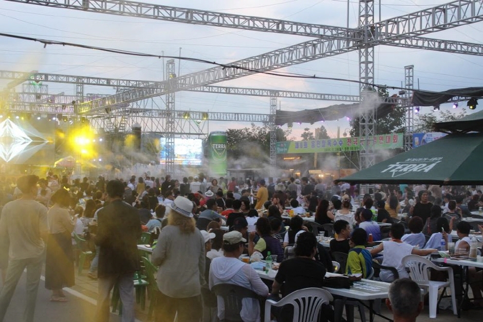 Festival de la bière et de la musique à Hongcheongang (홍천강 별빛음악 맥주축제)