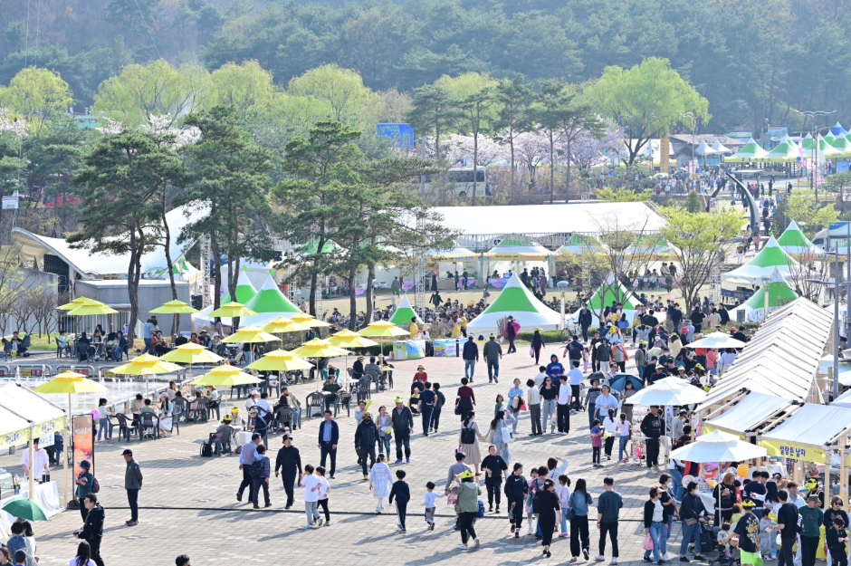 고령 대가야축제_22