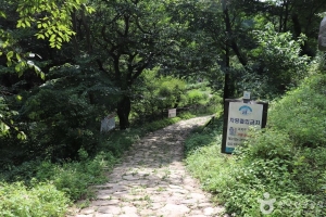 포암산(충주) (5)_e
