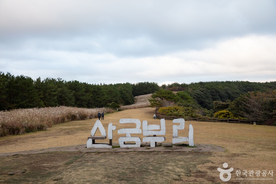 산굼부리