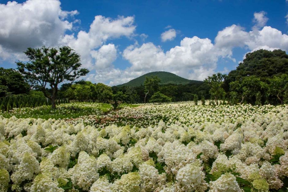 제주동화마을(동쪽송당 동화마을)