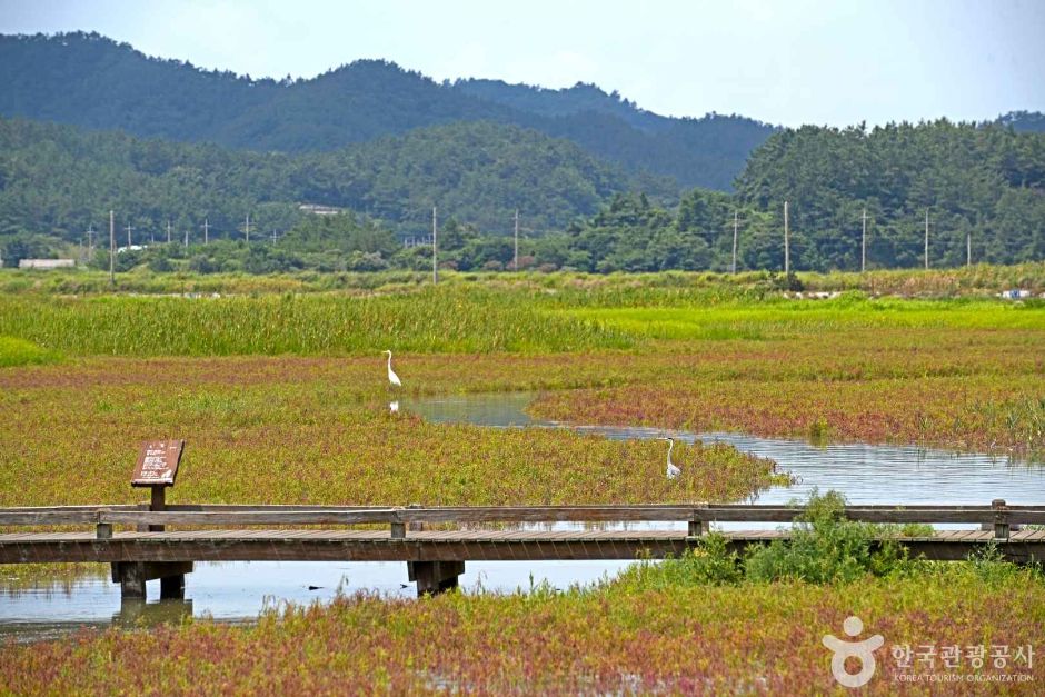 태평염생식물원