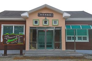 강릉 복사꽃마을 (2)