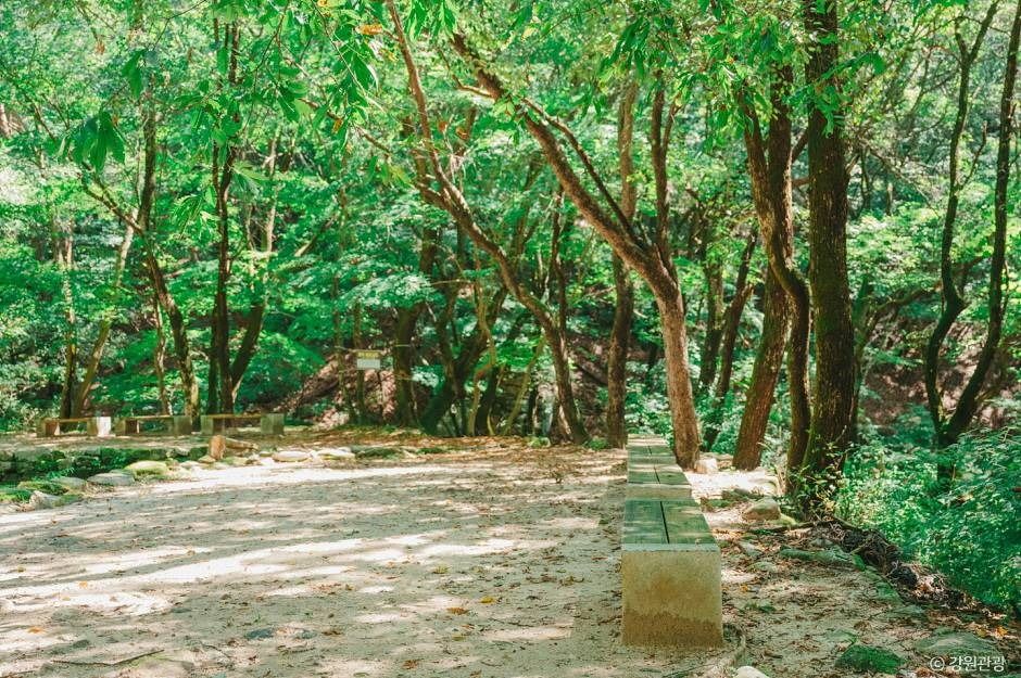 춘천_청평사계곡 (3)