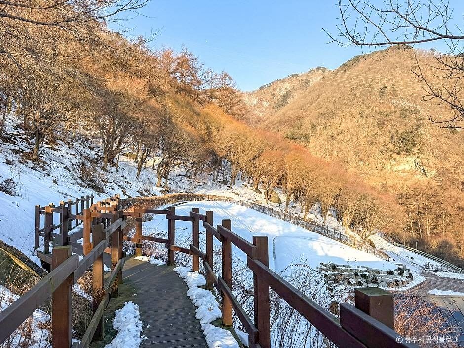 계명산 자연휴양림