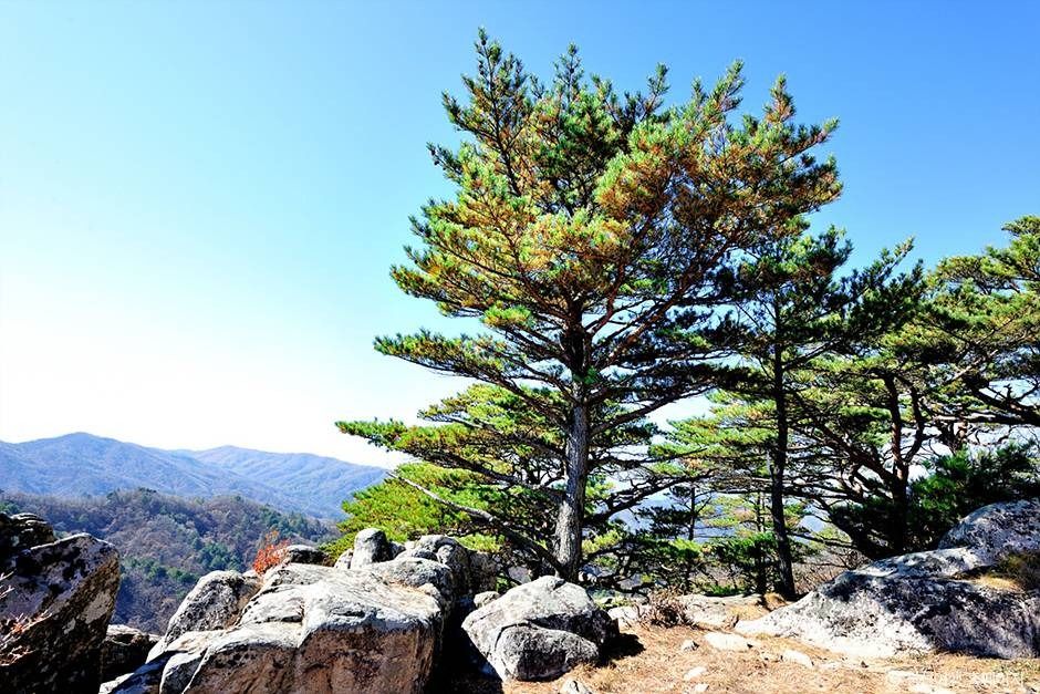 괘병산(정선)