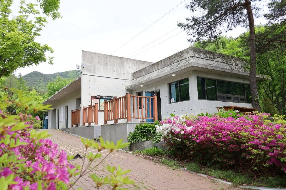 팔공산국립공원 도학야영장