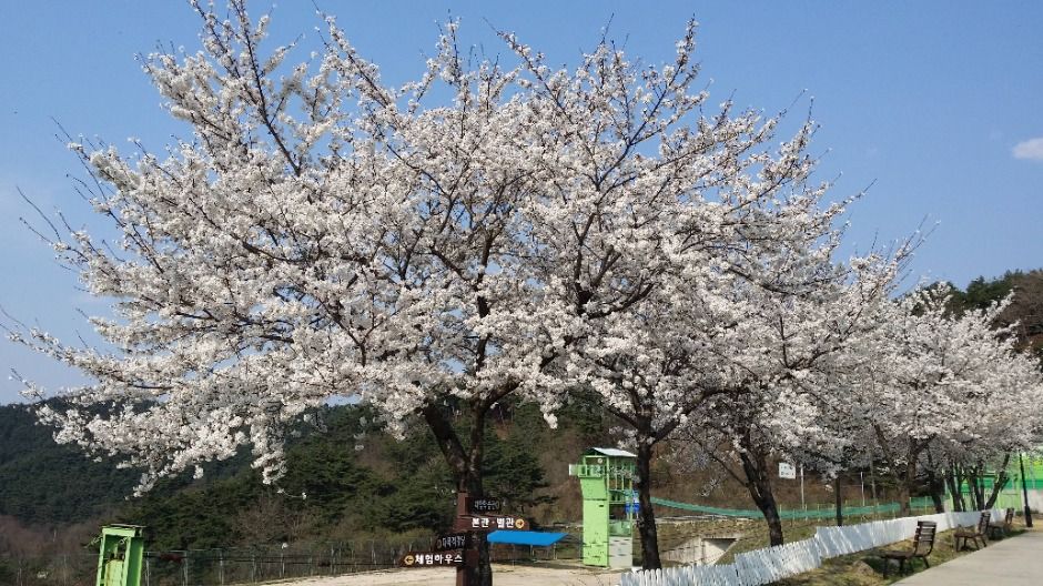 남원_지리산유스캠프 (2)