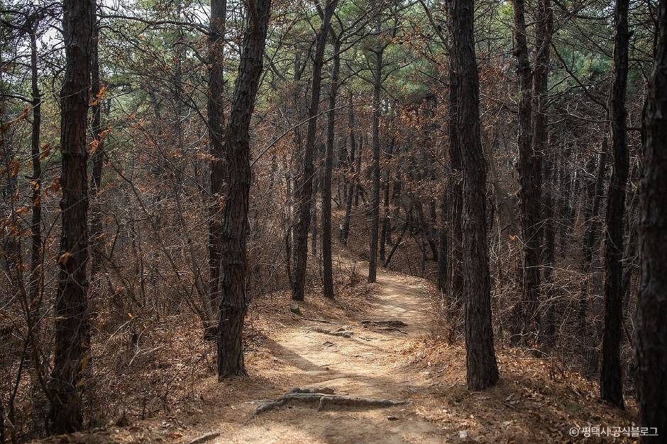 마안산