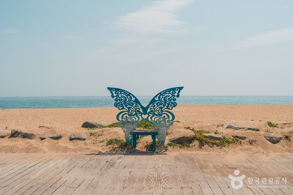 장사해수욕장