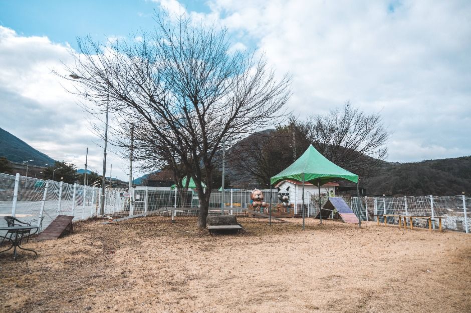 문경새재 반려동물 힐링센터