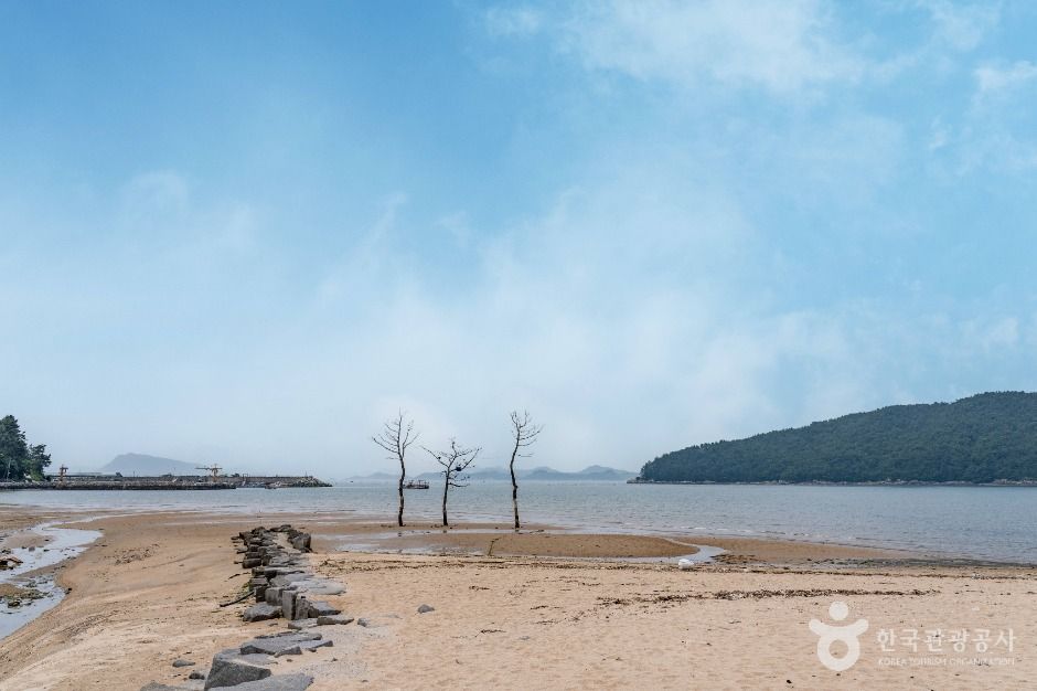 고흥_연소해수욕장 (3)