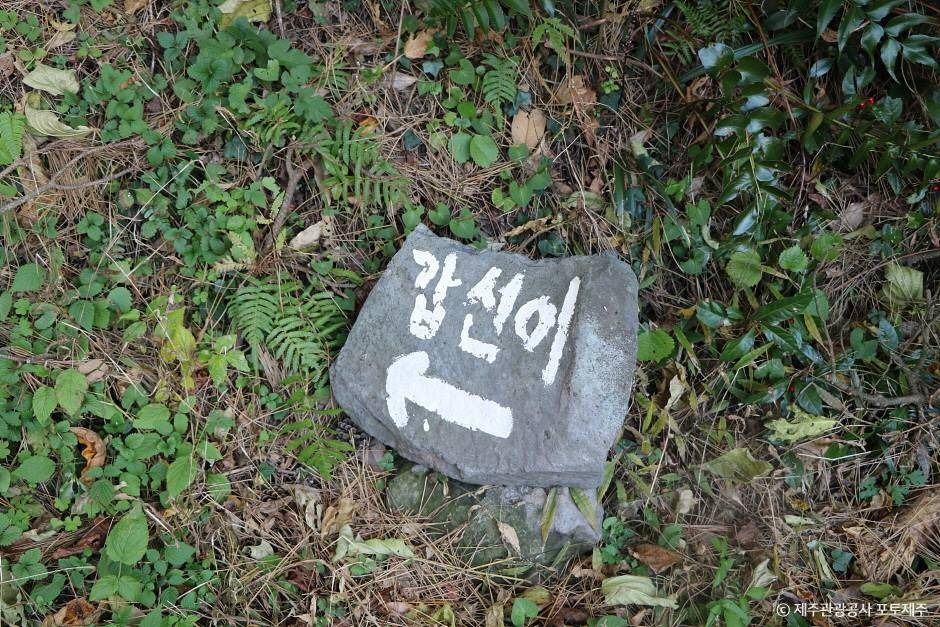 서귀포_갑선이오름 (4)