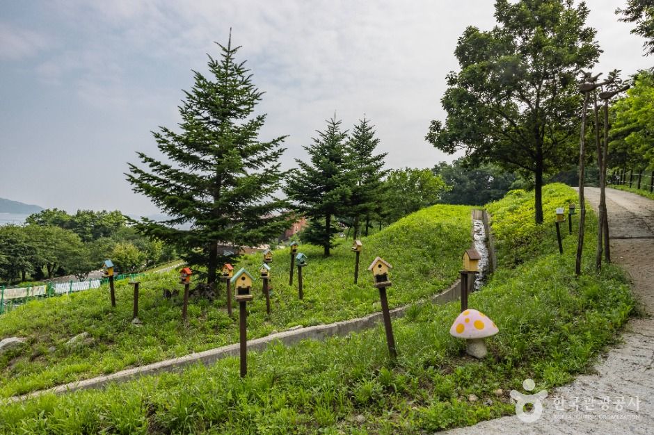 강화_석모도 자연휴양림 (6)