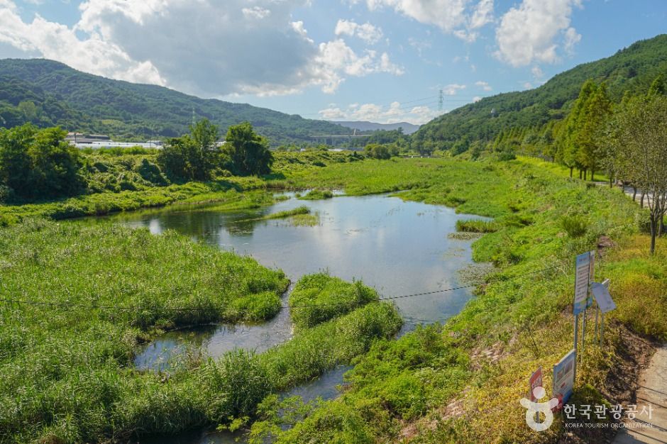 다슬기 초량마을