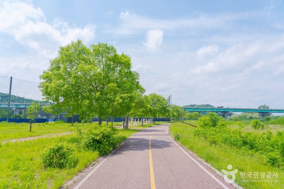 양섬