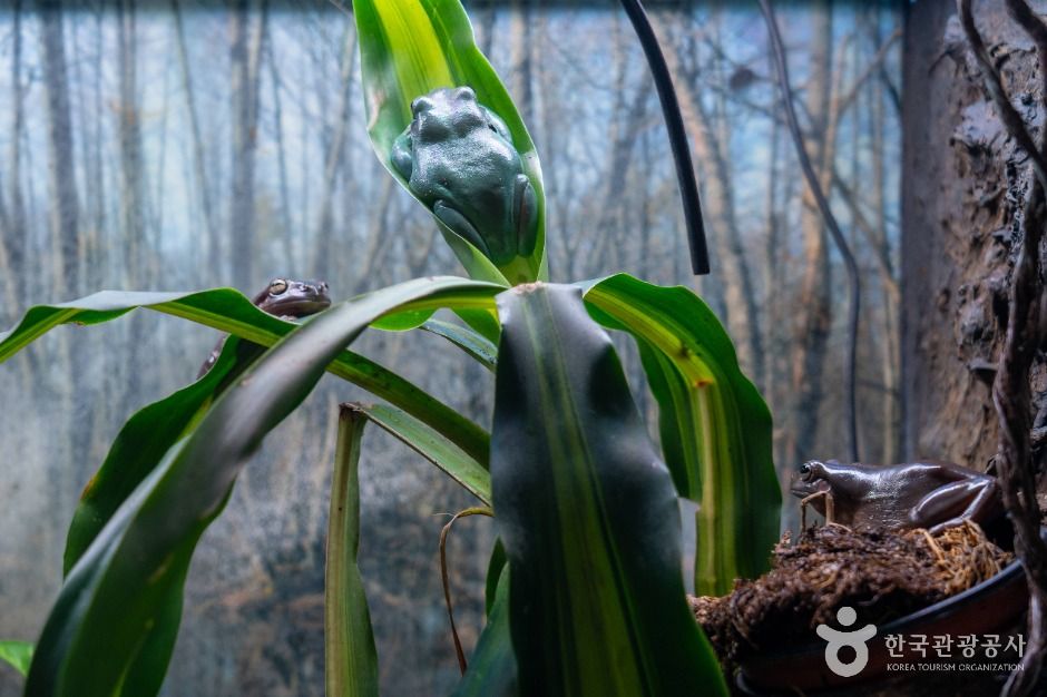 은산어울림생태박물관