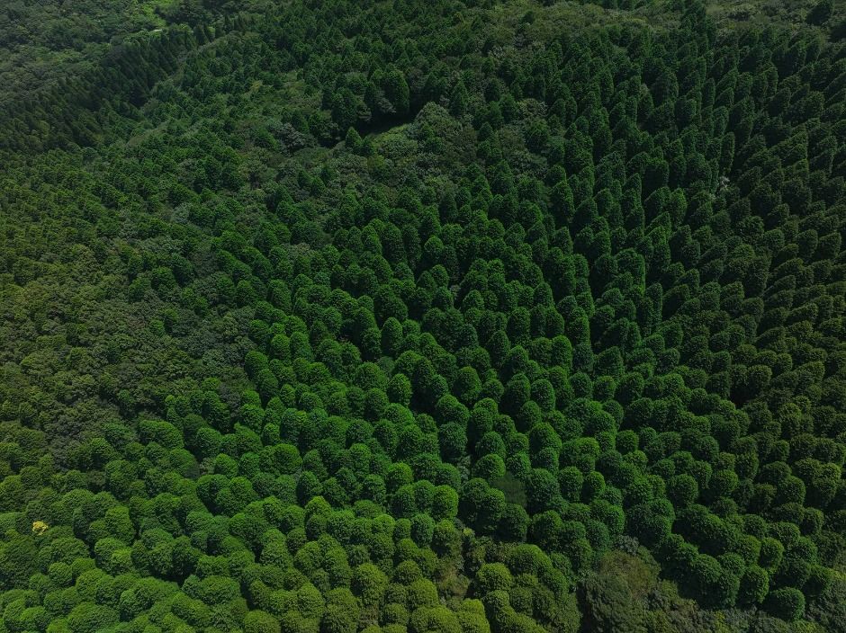 thumbnail-봉래산(고흥)-5