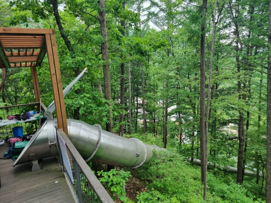 thumbnail-놀자숲-16