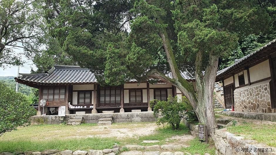 thumbnail-가평 연하리향나무-5