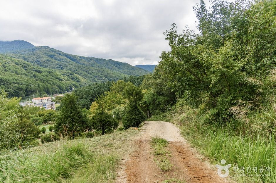 무주 삼공리 반송