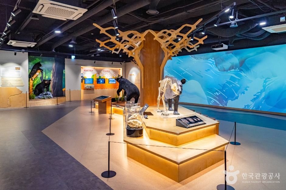 지리산 반달가슴곰 공존센터