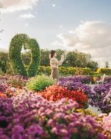 피나클랜드수목원8