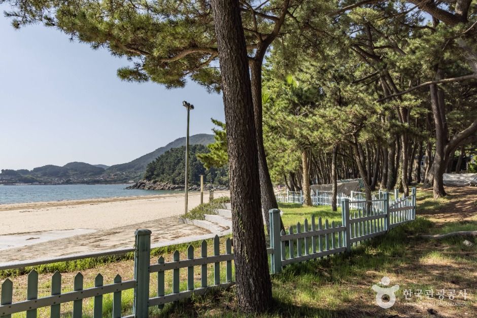 송정솔바람해변