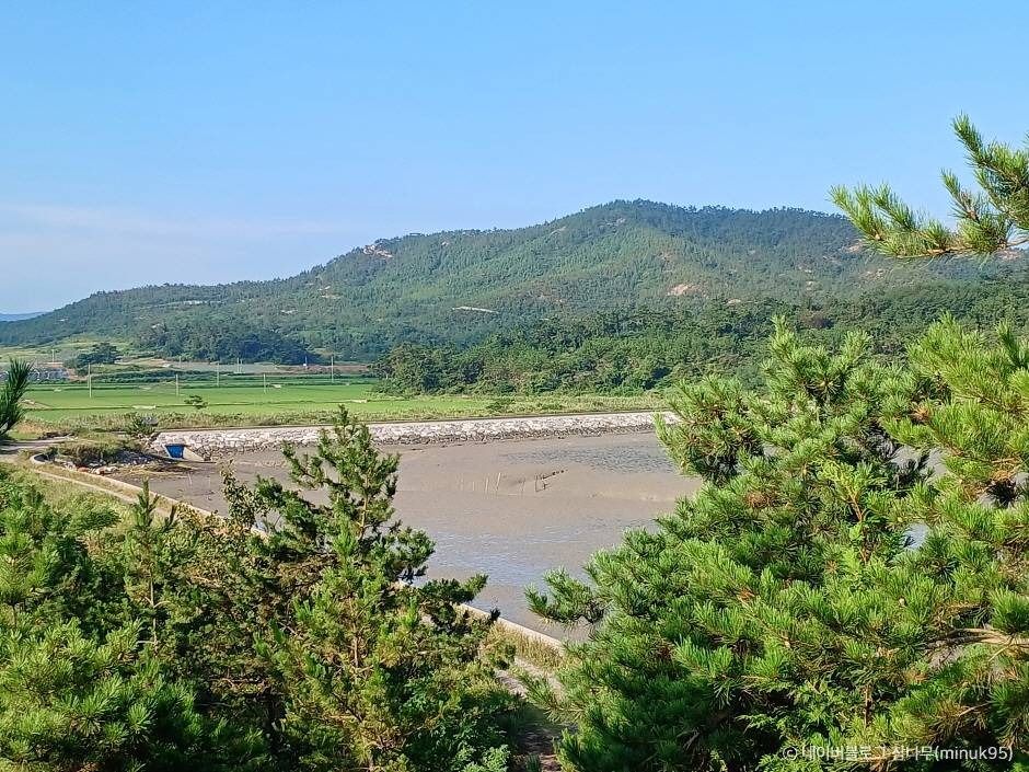 신안_팔금도 (3)