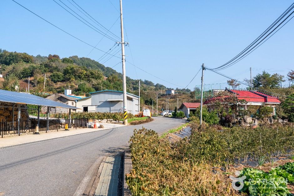 월악산 약초마을